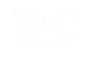 B&C Partners